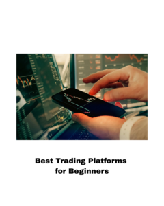 Best Trading Platforms for Beginners